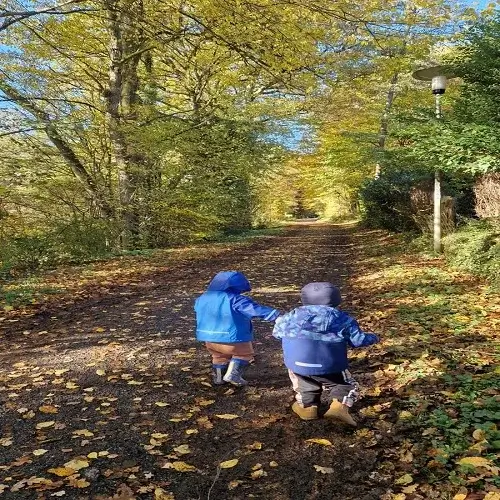 Kinder beim Spaziergang im Herbst mit der Kindertagespflege Kunterbunt am Brudergrund in Erbach