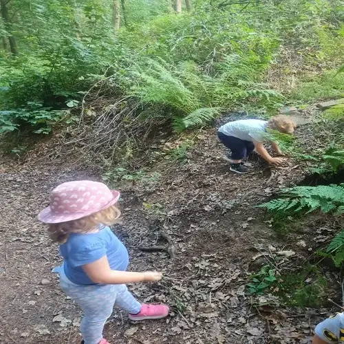 Eine Kindergruppe geht gemeinsam durch den Wald bei einem Ausflug der Tagesmutter am Brudergrund in Erbach.