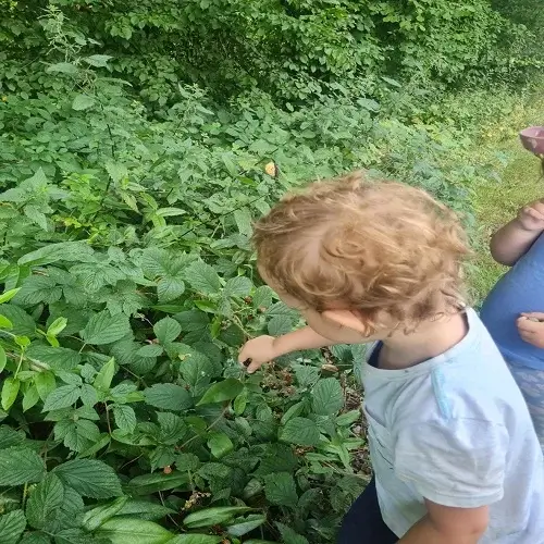 Kinder erkunden Pflanzen und Blätter bei einem Naturspaziergang mit der Kindertagespflege Kunterbunt am Brudergrund.