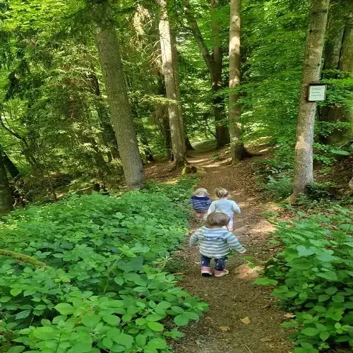 Kinder entdecken die Natur bei einem Waldspaziergang mit der Kindertagespflege Kunterbunt am Brudergrund